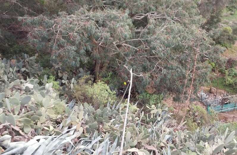 Imagen en la que se ve a bomberos actuando en el lugar del fuego/TA.
